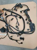 original BMW Z4 E85 N46 Motor Kabelbaum 7552377 Motor Getriebe Modul Kabel
