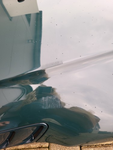 Motorhaube BMW Z3 Roadster Coupe Frontklappe Haube Blau ODER grün ABHOLUNG !!