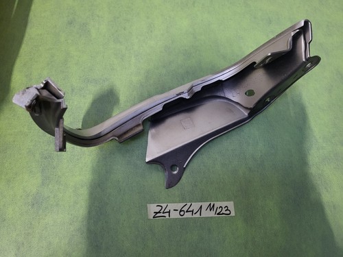 BMW Z4 E85 Rücklicht Rahmen Seitenwand Halter HINTEN LINKS Silber Black 7025641