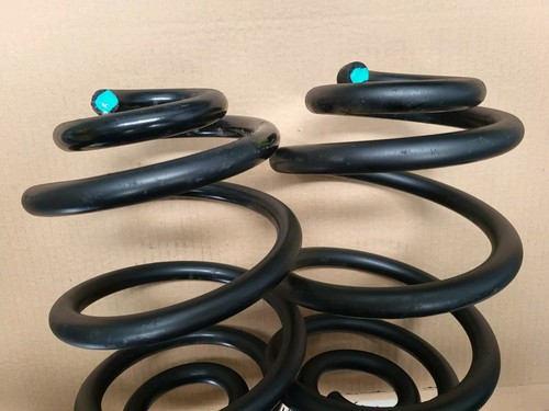 BMW Z4: E85 E86 Spiral Tonnen Fahrwerks Schrauben Feder HINTEN  rechts + links